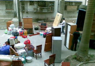 专业免费上门大件货物、摩托车电动车及宠物托运信息咨询服务