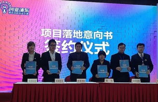 上海建桥学院就业信息服务网 连接学子与职场的智慧桥梁